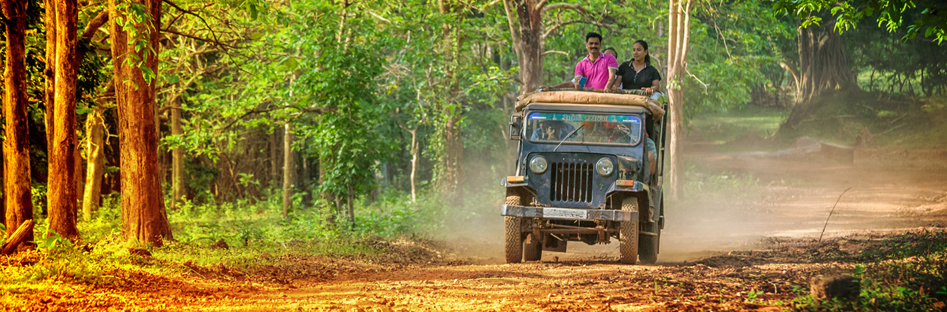 Dooars Hills Package